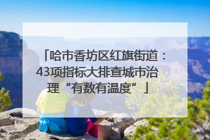 哈市香坊区红旗街道：43项指标大排查城市治理“有数有温度”