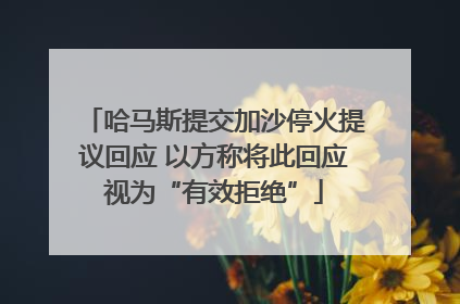 哈马斯提交加沙停火提议回应 以方称将此回应视为“有效拒绝”