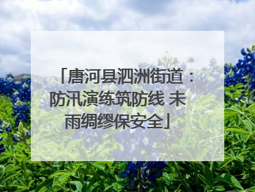 唐河县泗洲街道：防汛演练筑防线 未雨绸缪保安全