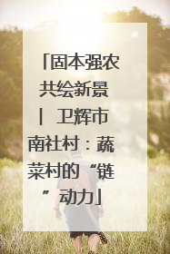 固本强农 共绘新景 ︳卫辉市南社村：蔬菜村的“链”动力
