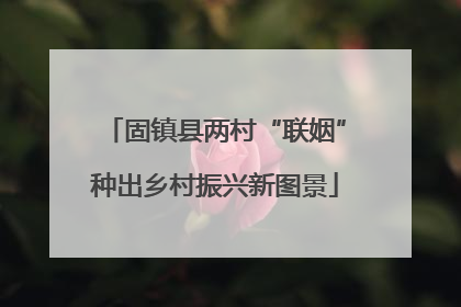 固镇县两村“联姻”种出乡村振兴新图景