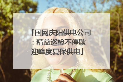 国网庆阳供电公司：精益巡检不停歇 迎峰度夏保供电