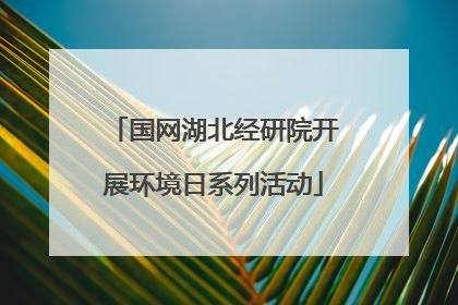 国网湖北经研院开展环境日系列活动