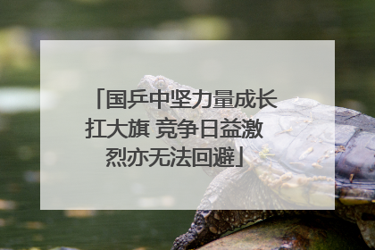 国乒中坚力量成长扛大旗 竞争日益激烈亦无法回避