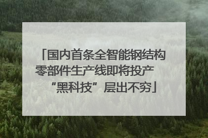 国内首条全智能钢结构零部件生产线即将投产 “黑科技”层出不穷