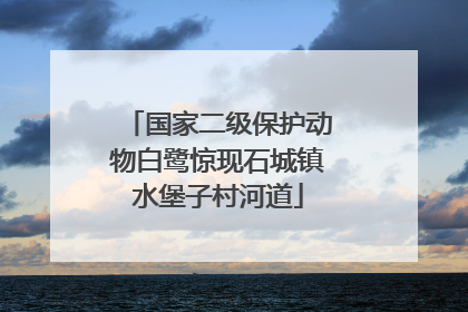 国家二级保护动物白鹭惊现石城镇水堡子村河道