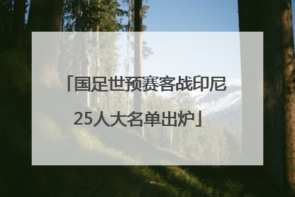国足世预赛客战印尼25人大名单出炉