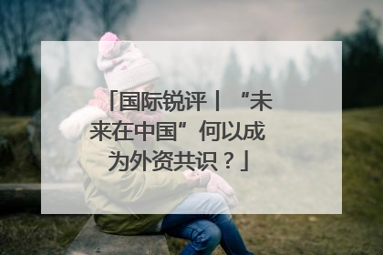 国际锐评丨“未来在中国”何以成为外资共识？
