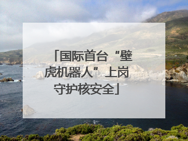 国际首台“壁虎机器人”上岗守护核安全