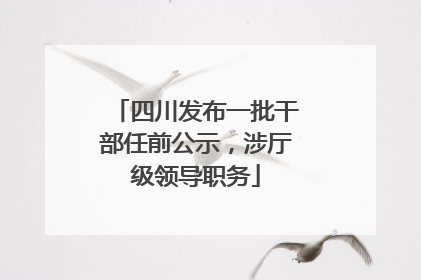 四川发布一批干部任前公示，涉厅级领导职务
