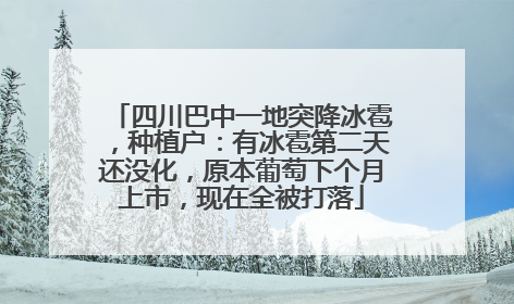 四川巴中一地突降冰雹，种植户：有冰雹第二天还没化，原本葡萄下个月上市，现在全被打落
