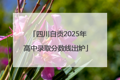 四川自贡2025年高中录取分数线出炉