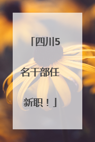 四川5名干部任新职！
