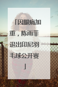因腿痛加重，陈雨菲退出印尼羽毛球公开赛
