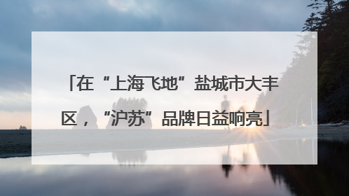 在“上海飞地”盐城市大丰区，“沪苏”品牌日益响亮