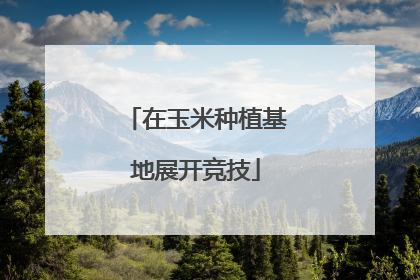 在玉米种植基地展开竞技