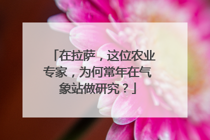 在拉萨，这位农业专家，为何常年在气象站做研究？