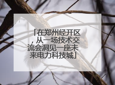 在郑州经开区，从一场技术交流会洞见一座未来电力科技城