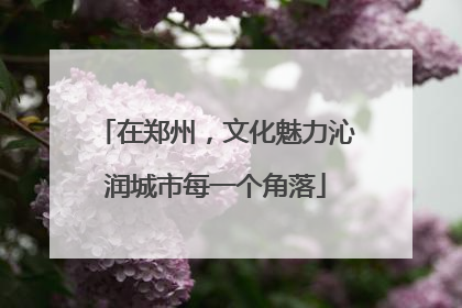 在郑州，文化魅力沁润城市每一个角落
