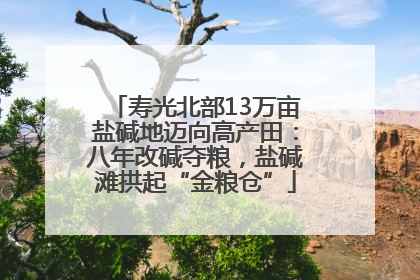 寿光北部13万亩盐碱地迈向高产田：八年改碱夺粮，盐碱滩拱起“金粮仓”