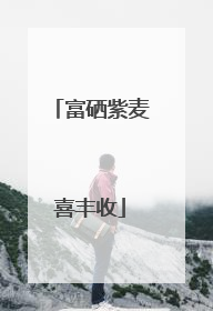 富硒紫麦喜丰收