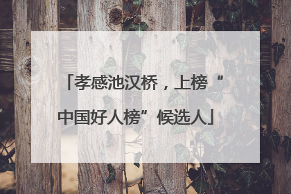 孝感池汉桥，上榜“中国好人榜”候选人