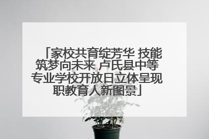 家校共育绽芳华 技能筑梦向未来 卢氏县中等专业学校开放日立体呈现职教育人新图景