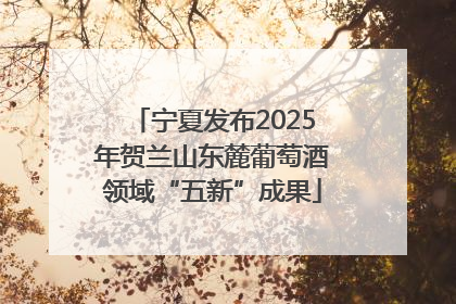 宁夏发布2025年贺兰山东麓葡萄酒领域“五新”成果