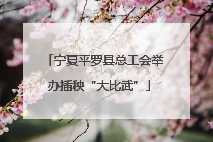 宁夏平罗县总工会举办插秧“大比武”