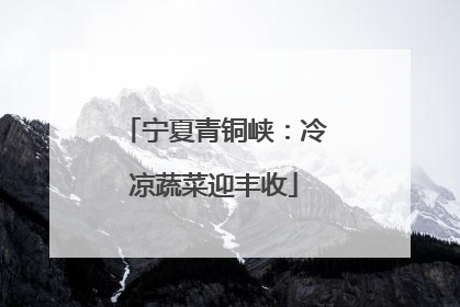 宁夏青铜峡：冷凉蔬菜迎丰收
