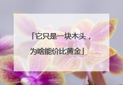 它只是一块木头，为啥能价比黄金
