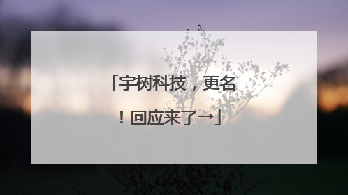 宇树科技，更名！回应来了→
