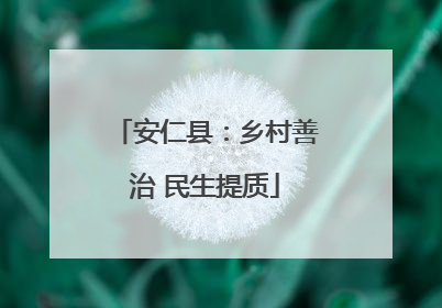 安仁县：乡村善治 民生提质