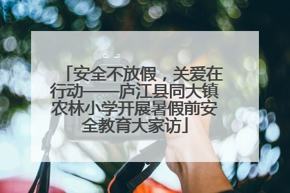 安全不放假，关爱在行动——庐江县同大镇农林小学开展暑假前安全教育大家访