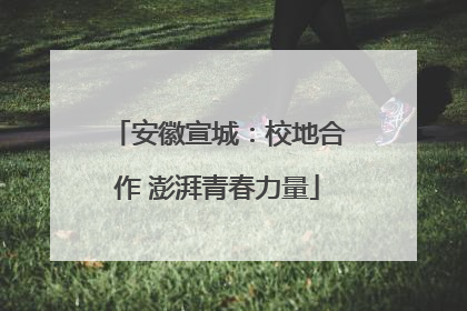 安徽宣城：校地合作 澎湃青春力量