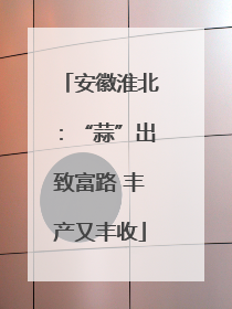 安徽淮北：“蒜”出致富路 丰产又丰收