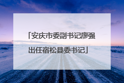 安庆市委副书记廖强出任宿松县委书记