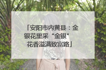 安阳市内黄县：金银花里采“金银” 花香溢满致富路