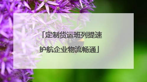 定制货运班列提速 护航企业物流畅通