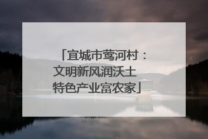 宜城市莺河村：文明新风润沃土 特色产业富农家