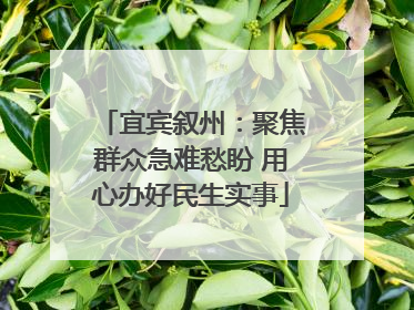 宜宾叙州：聚焦群众急难愁盼 用心办好民生实事