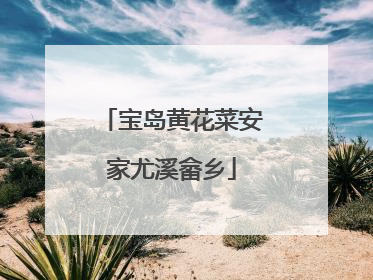 宝岛黄花菜安家尤溪畲乡