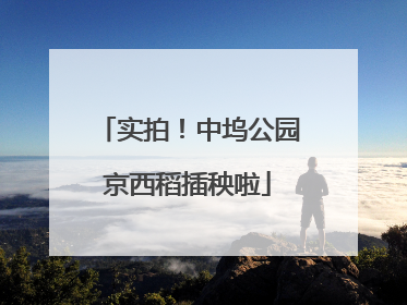 实拍！中坞公园京西稻插秧啦