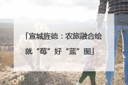 宣城旌德：农旅融合绘就“莓”好“蓝”图
