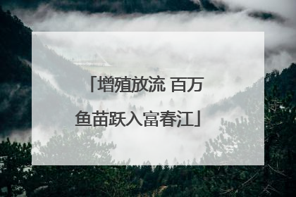 增殖放流 百万鱼苗跃入富春江