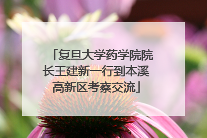 复旦大学药学院院长王建新一行到本溪高新区考察交流