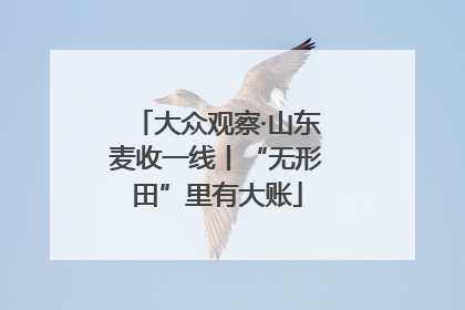大众观察·山东麦收一线丨“无形田”里有大账