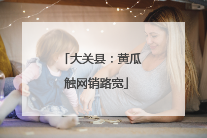 大关县：黄瓜触网销路宽