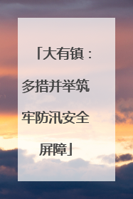 大有镇：多措并举筑牢防汛安全屏障