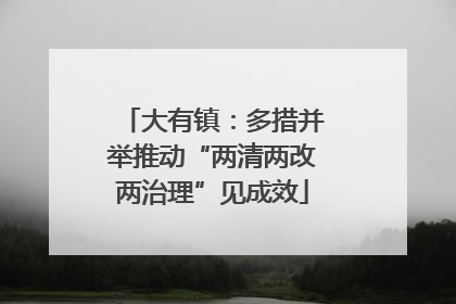 大有镇：多措并举推动“两清两改两治理”见成效